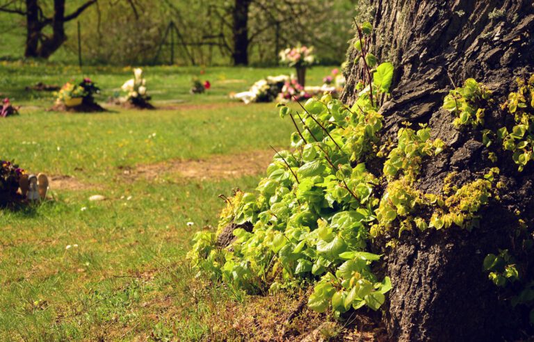 Antrag: Rasengräber und Baumgräber auf dem Friedhof Ketsch