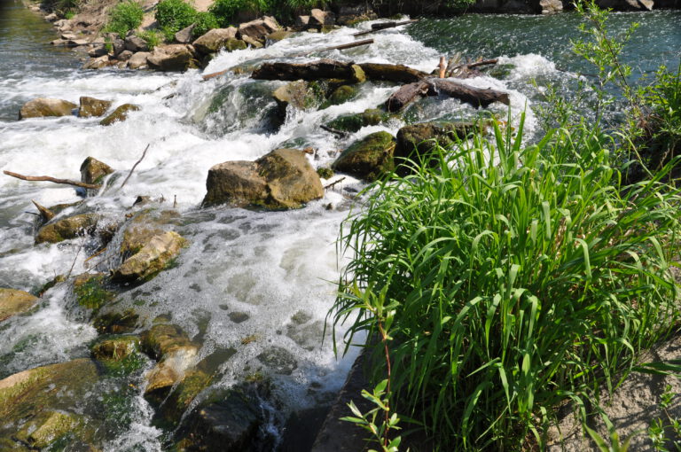 Baumann: „Wir brauchen ein an den Klimawandel angepasstes Gewässermanagement“