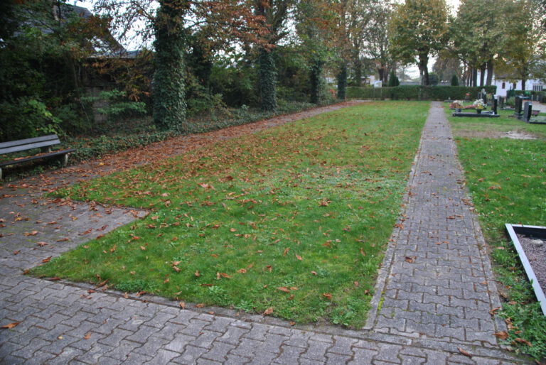 Baum- und Rasengräber sollen entstehen